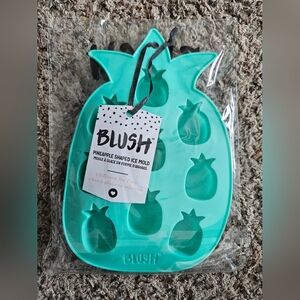 Blush Teal Pineapple Ice Mold